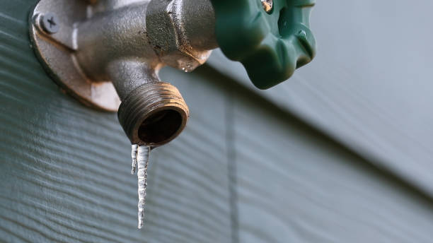 Best Shower Repair Services  in Brice Prairie, WI